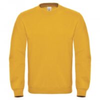 Crew Neck Sweatshirt WUI20_chilli-gold
