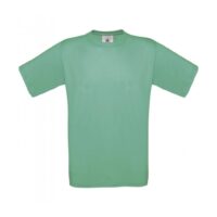 T-Shirt Exact 150_Used-Wasabi
