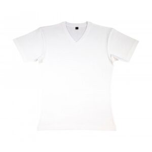 James – Men’s Organic V-Neck T-Shirt_white