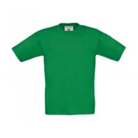 Kids T-Shirt TK300_kelly-green