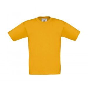 Kids T-Shirt TK300_gold
