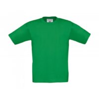 Kids T-Shirt TK301_kelly-green