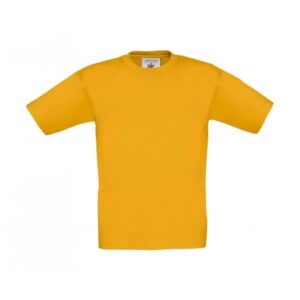 Kids T-Shirt TK301_gold
